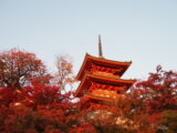 秋の紅葉撮影記録 #1 京都
